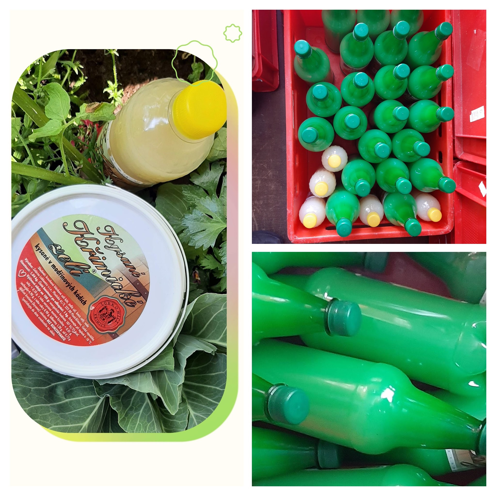 Zelná šťáva zelárny Lobkowicz Křimice