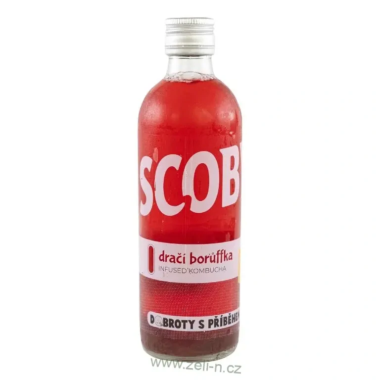 Dračí borůffka Kombucha 500 ml sada 3ks
