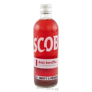 Dračí borůffka Kombucha 500 ml sada 3ks