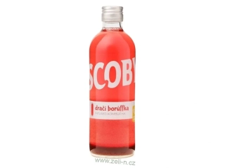Dračí borůffka Kombucha 500 ml