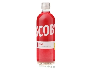 Kombucha Řepíno 500 ml